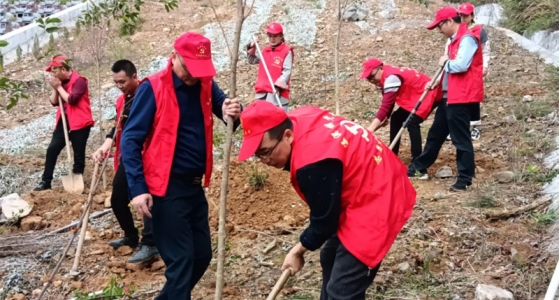 Jointly built by village and enterprise to plant pioneer forest together